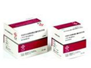 达安 丙型肝炎病毒核酸定量检测试剂盒(PCR-荧光探针法)