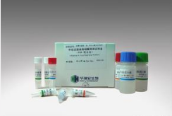科华 通用型肠道病毒、EV-71及CA-16核酸检测试剂盒(荧光PCR法)