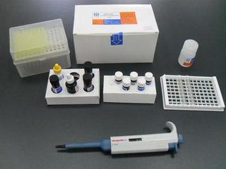 科华 葡萄糖试剂盒（乙糖激酶法）