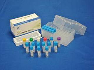 中信亚特斯 人绒毛膜促性腺激素检测试剂盒(磁微粒免疫分析法)