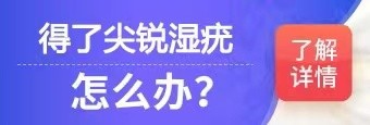 得了尖锐湿疣怎么办