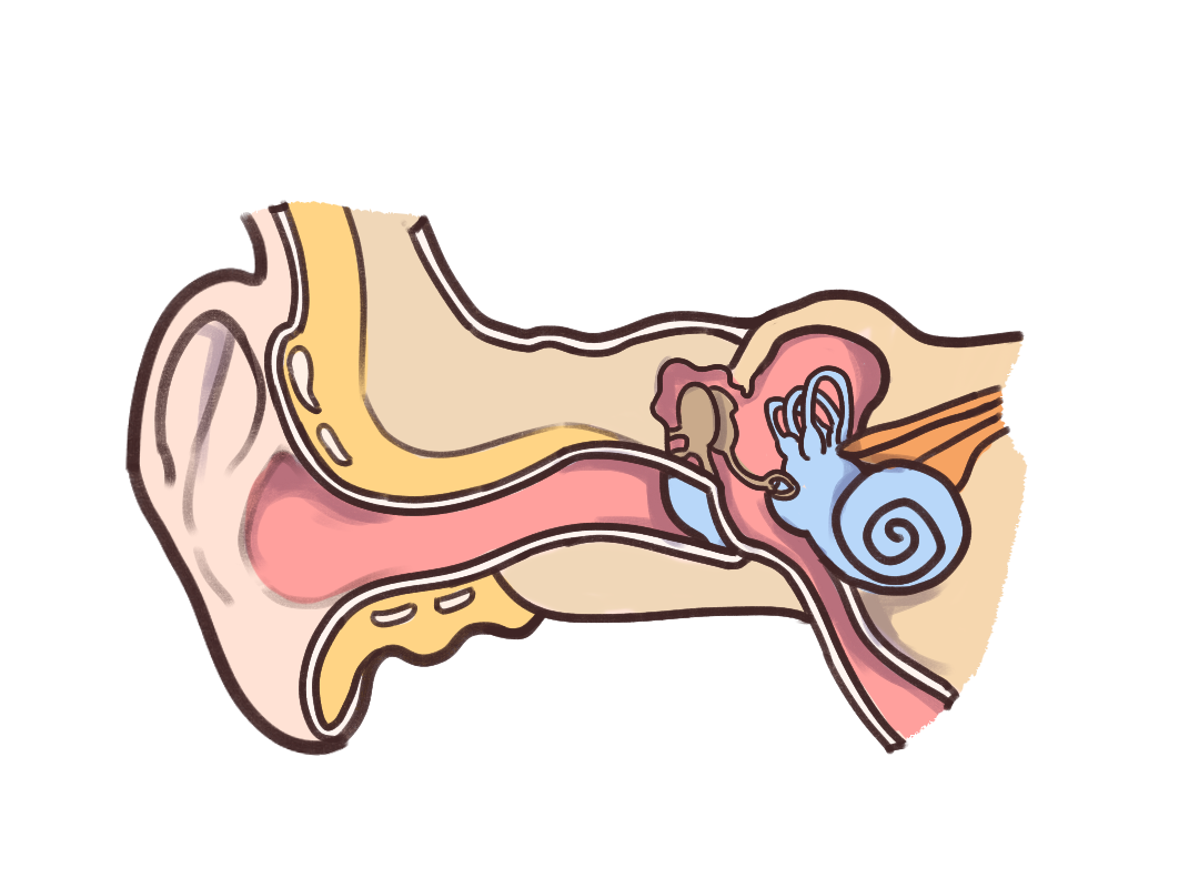 中耳胆脂瘤ct诊断图片,中耳炎手术切口刀疤图 - 伤感说说吧