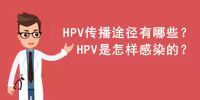 兰州性病医院：HPV的传播途径是怎样的呢？