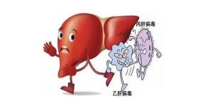 健康指南：漳州肝病医院乙肝对胎儿有影响吗